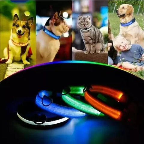 Collar led perros y gatos